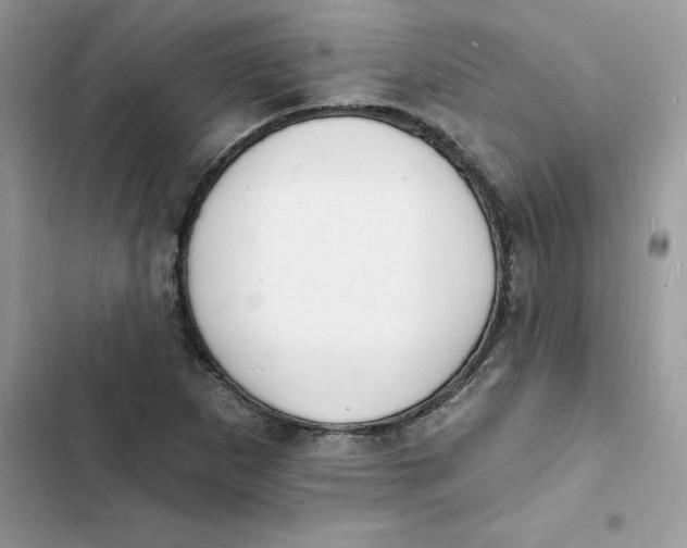 X0000103301265200809191846