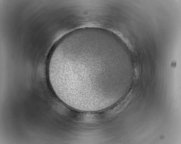 X0000103301266200809191846