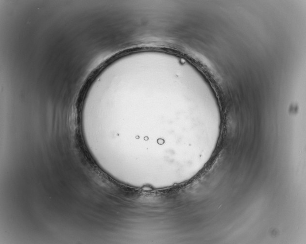 X0000103301267200809191845