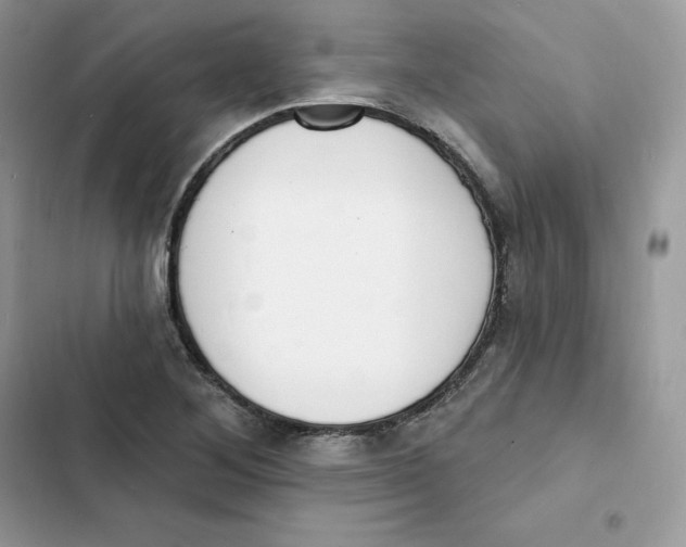 X0000103301268200809191845