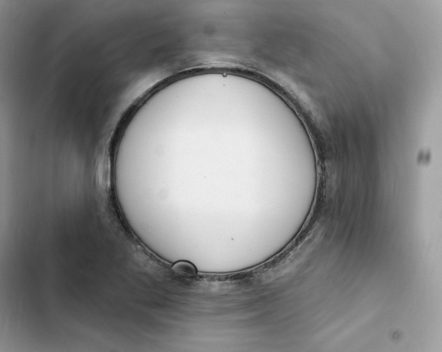 X0000103301269200809191845