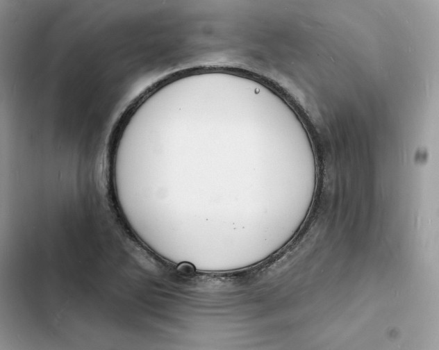 X0000103301270200809191845