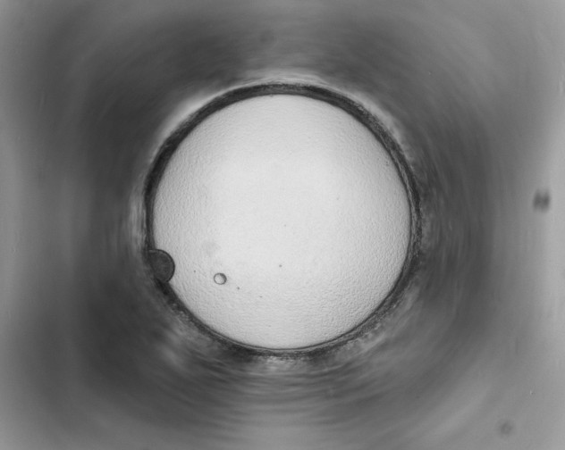 X0000103301271200809191845