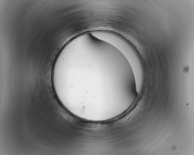 X0000103301273200809191845