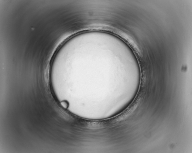 X0000103301275200809191845