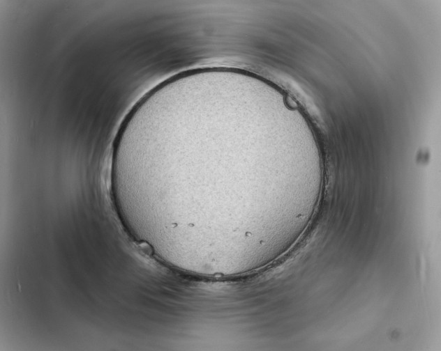 X0000103301276200809191845