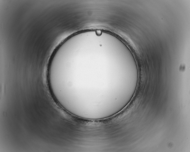 X0000103301277200809191845