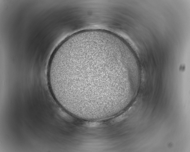 X0000103301278200809191845