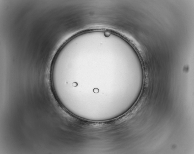 X0000103301279200809191845