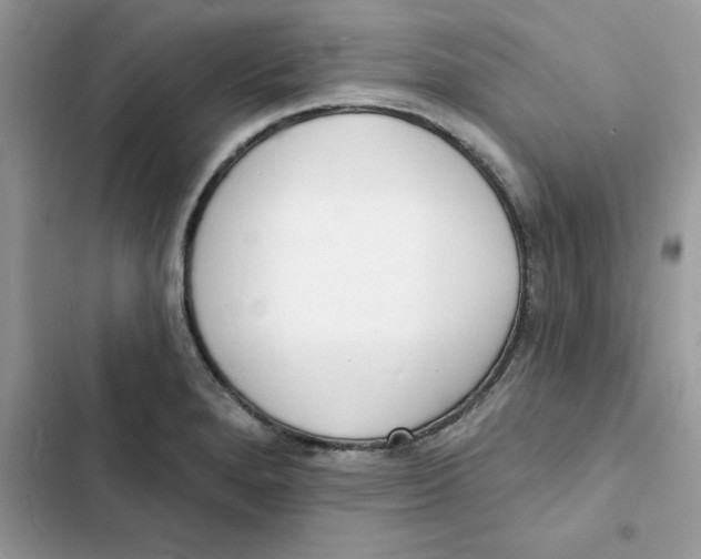 X0000103301280200809191845