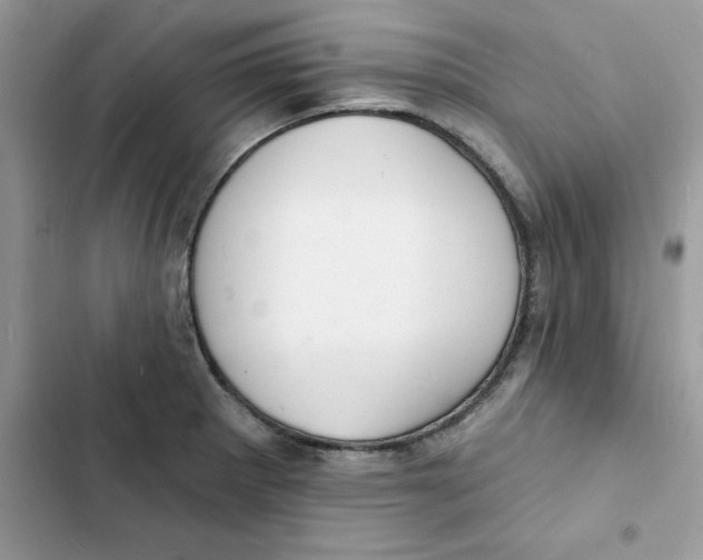 X0000103301281200809191845