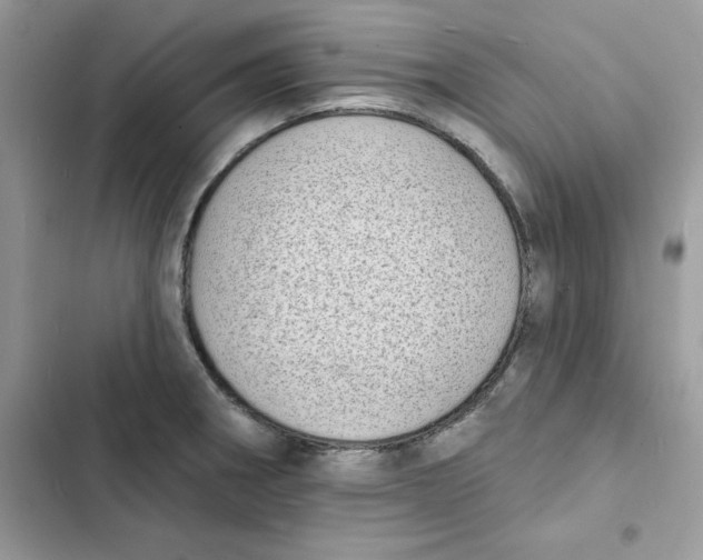 X0000103301282200809191845