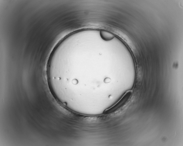 X0000103301283200809191845