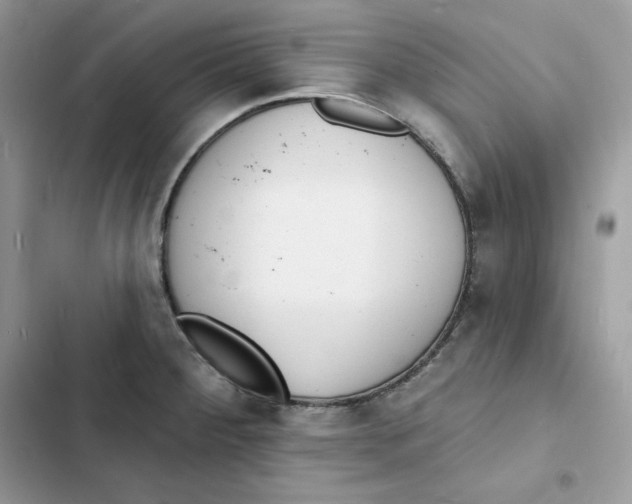 X0000103301284200809191845