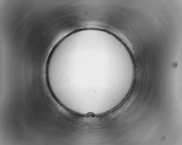 X0000103301285200809191845