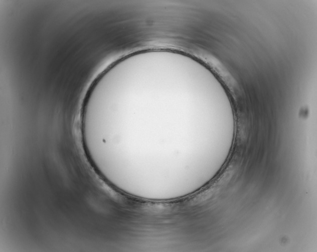 X0000103301286200809191845