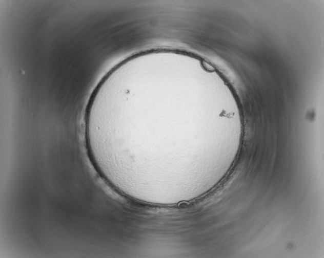 X0000103301287200809191845