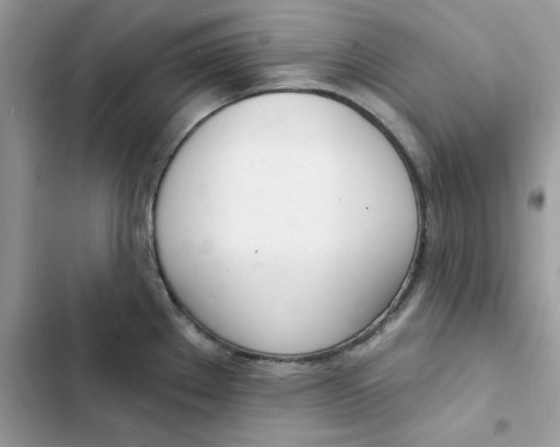 X0000103301289200809191845