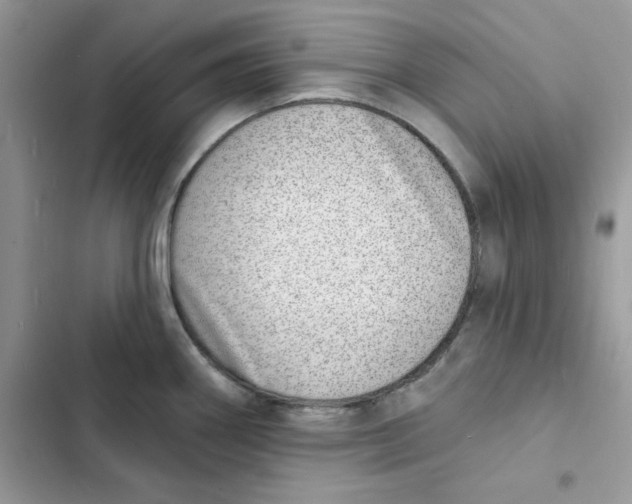 X0000103301290200809191845