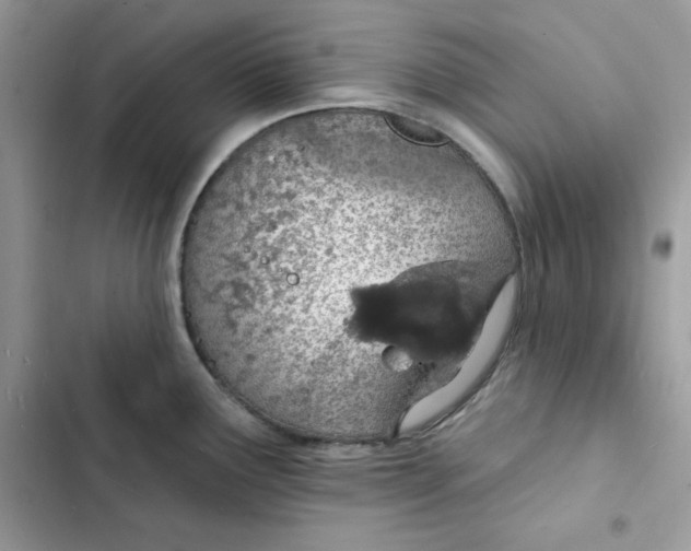 X0000103301291200809191845