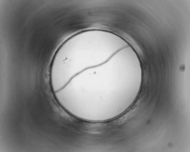 X0000103301292200809191845