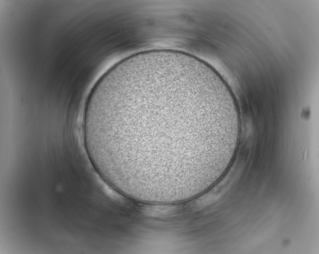 X0000103301294200809191845