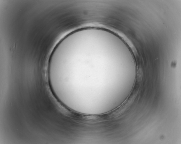 X0000103301295200809191845