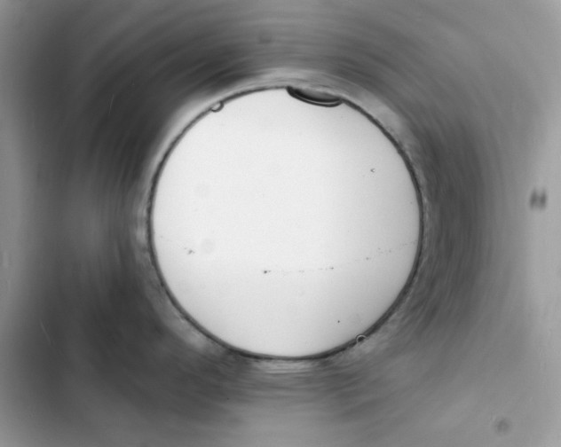 X0000103301296200809191845