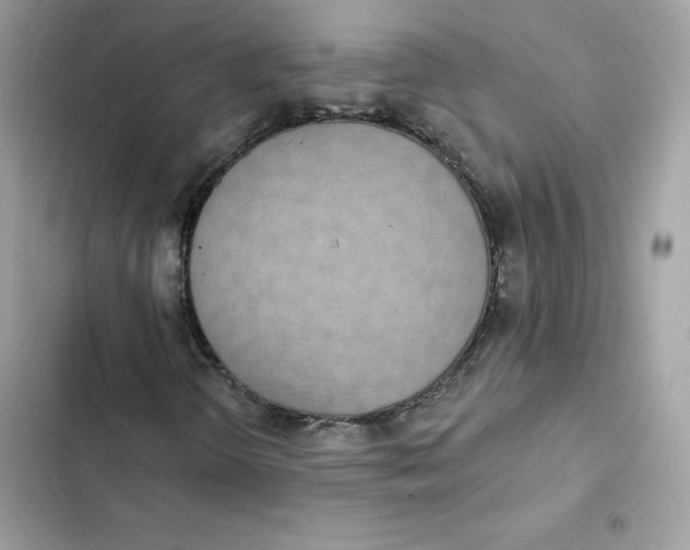 X0000103301298200809191844