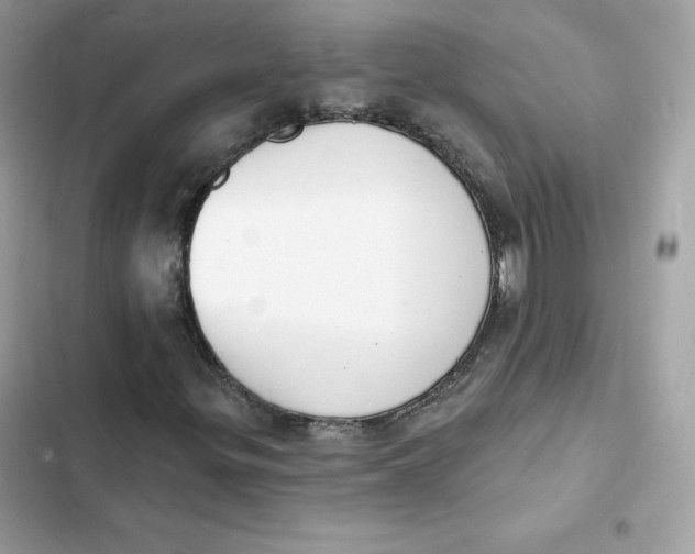 X0000103301299200809191844