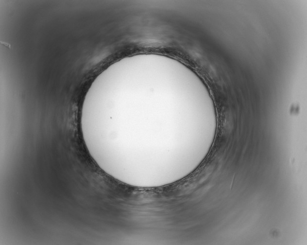 X0000103301301200809191844