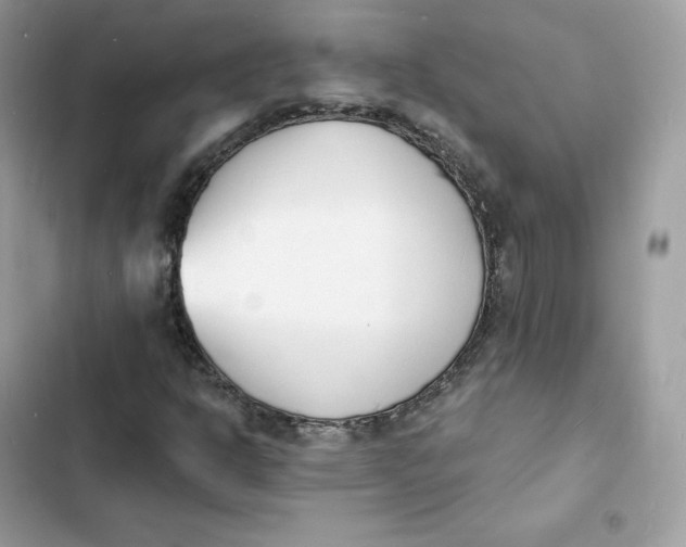 X0000103301302200809191844