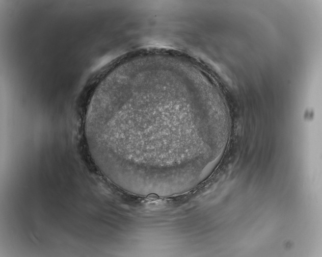 X0000103301303200809191844