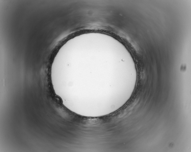 X0000103301304200809191844