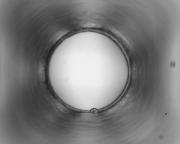 X0000103301305200809191844