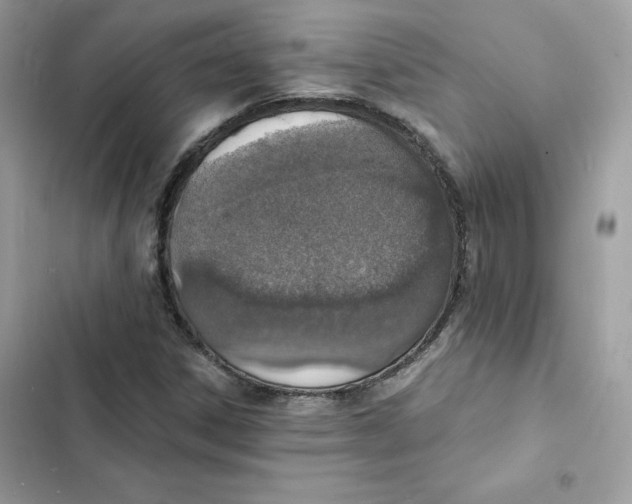 X0000103301306200809191844