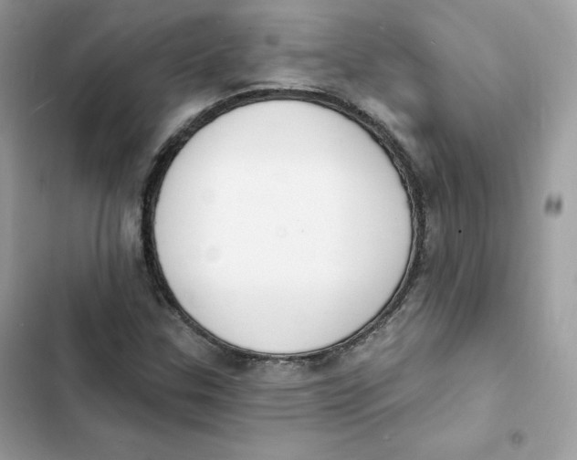 X0000103301307200809191844