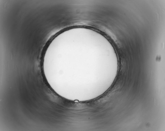 X0000103301308200809191844