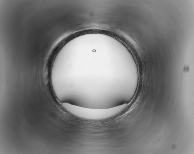 X0000103301310200809191844