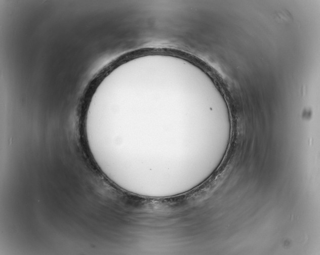 X0000103301311200809191844