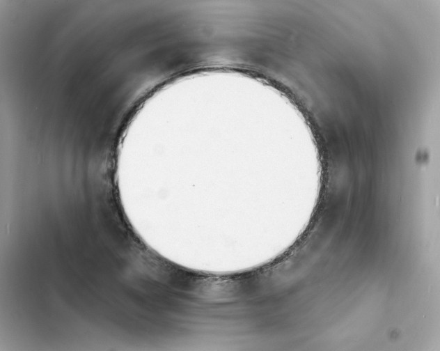 X0000103301314200809191845