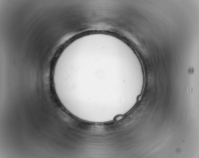 X0000103301315200809191845