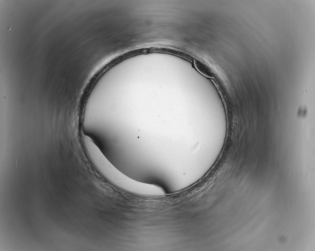 X0000103301316200809191845