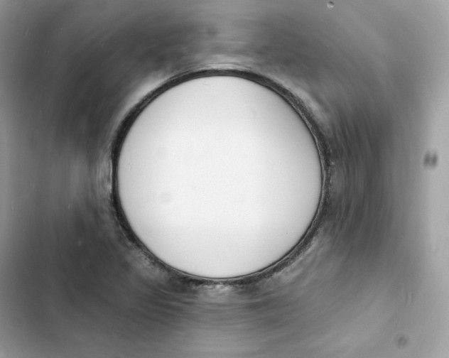 X0000103301317200809191845