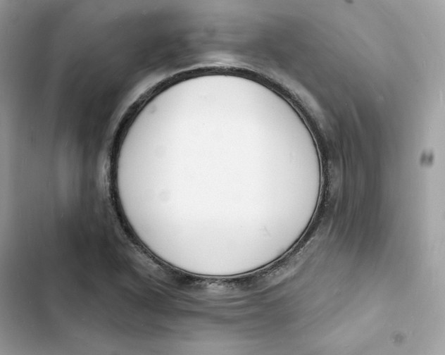 X0000103301318200809191845