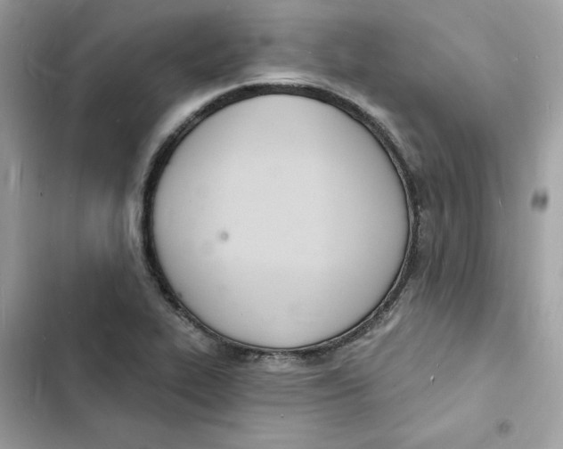 X0000103301319200809191845