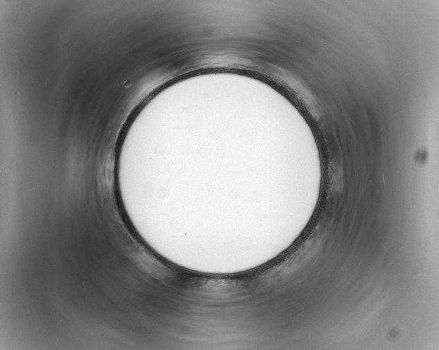 X0000103301322200809191845