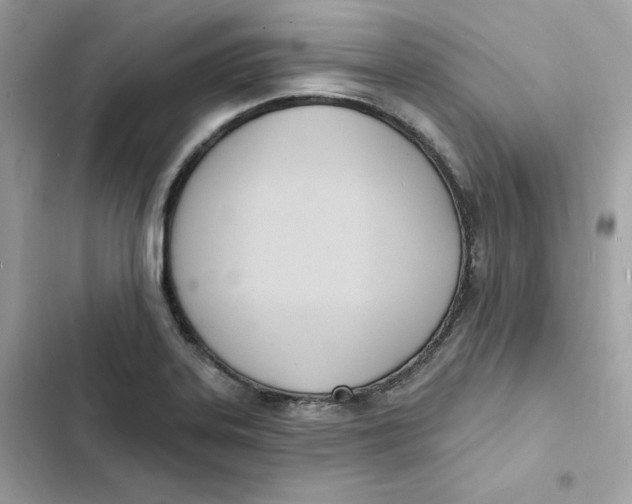 X0000103301323200809191845