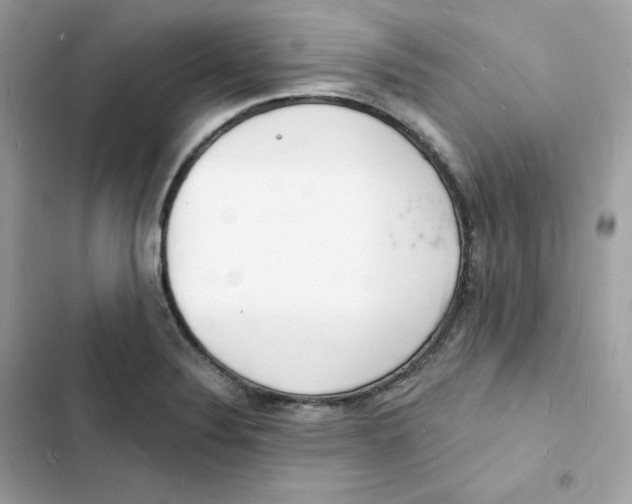 X0000103301324200809191845