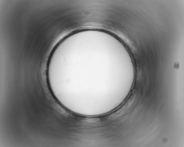 X0000103301325200809191845